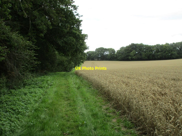 Photo 6"x4" Footpath to Bramdean Hinton Ampner c2017