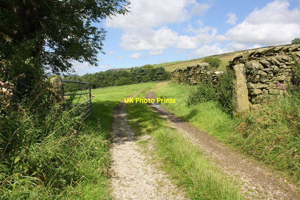 Photo 6"x4" Farm track from minor road east of Armistead Lawkland Green c2017