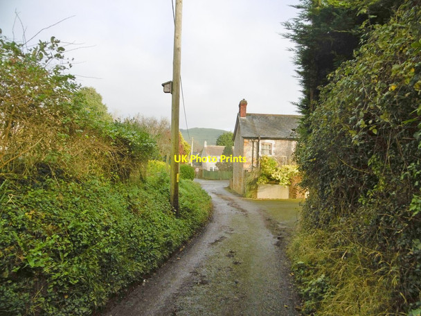 Photo 6"x4" Chideock, Pettycrate Lane Chideock c2018