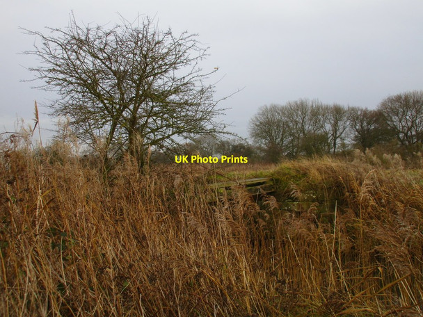 Photo 6"x4" Remains of an old bridge over the Leven Canal Aike c2018