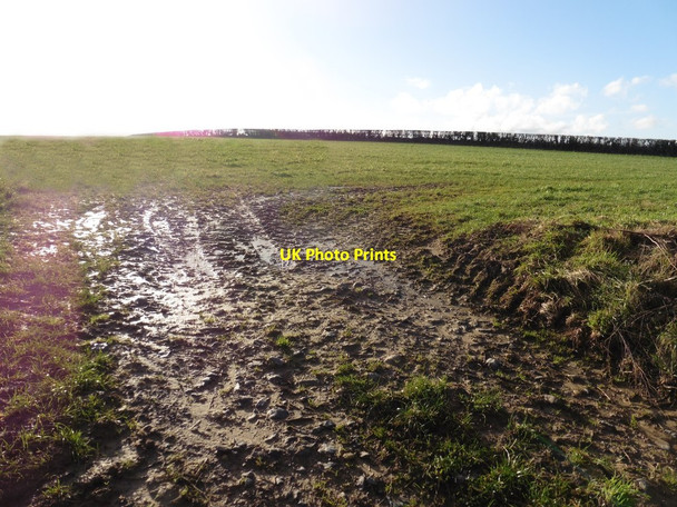 Photo 6"x4" Field, below West Chinnock Hill Snails Hill c2018