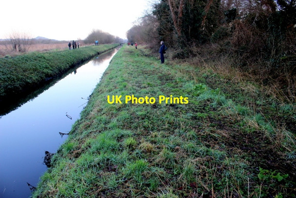 Photo 6"x4" Glastonbury Heath Ashcott Corner c2018