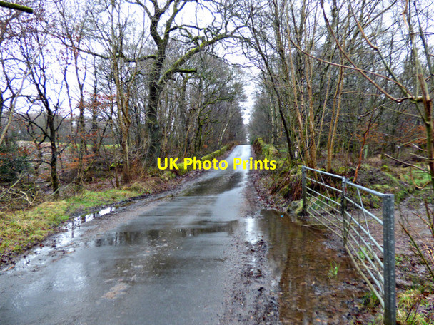 Photo 6"x4" Baldernock Road Milngavie c2018