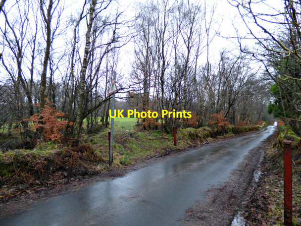 Photo 6"x4" Baldernock Road Milngavie c2018