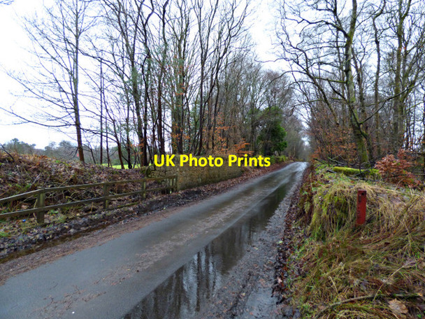 Photo 6"x4" Baldernock Road Milngavie c2018