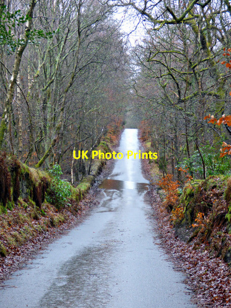 Photo 6"x4" Baldernock Road Milngavie c2018 P1