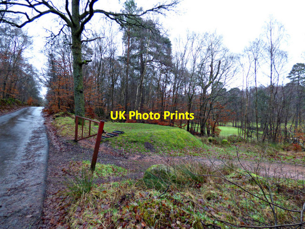 Photo 6"x4" Dougalston Golf Club Milngavie c2018