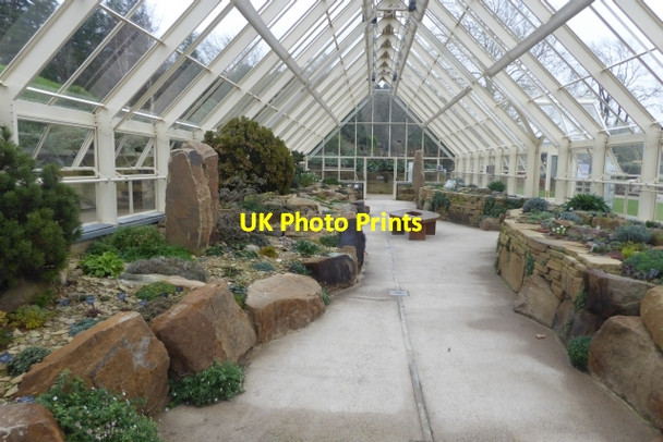 Photo 6"x4" Alpine House Harrogate c2017