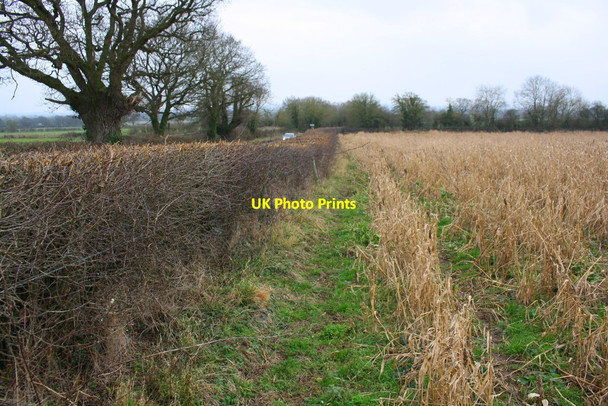 Photo 6"x4" Field beside road to Hampton Poyle Bletchingdon c2018