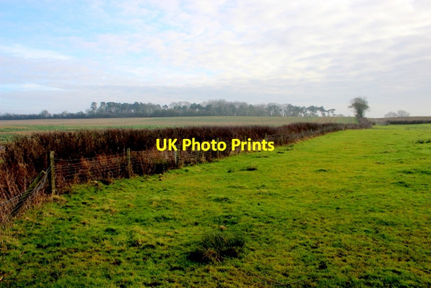 Photo 6"x4" Field near Knole Knapp Catsgore c2018