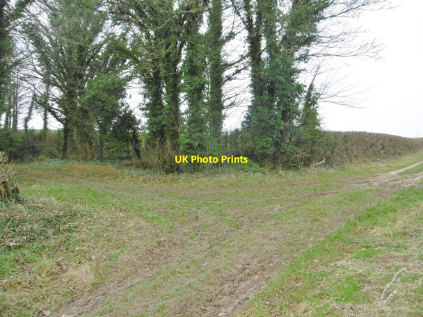 Photo 6"x4" Puddletown, bridleway junction Northbrook\/SY7594 c2018