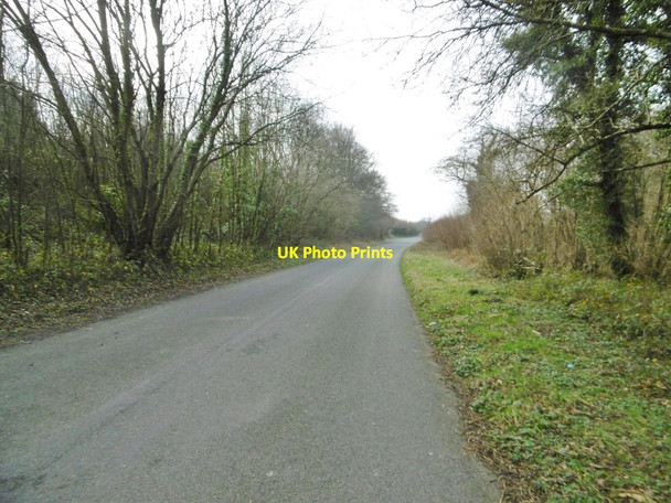 Photo 6"x4" Higher Bockhampton, Yellowham Hill Higher Bockhampton c2018