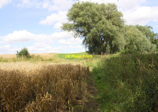 Photo 6"x4" Footpath through field beside Dibdale Beck Northallerton c2017