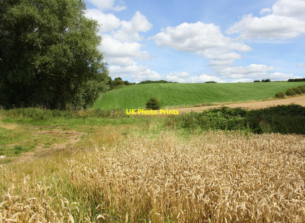 Photo 6"x4" Junction of track and footpath at Dibdale Northallerton c2017