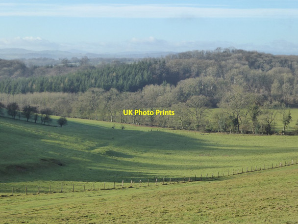 Photo 6"x4" View to Round Hill Wood Woolhope Cockshoot c2018