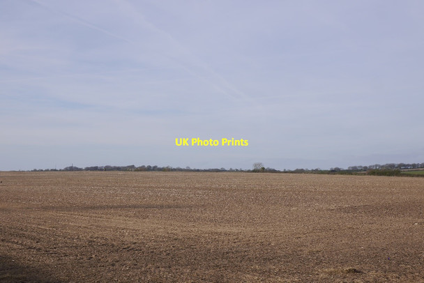 Photo 6"x4" Seedbed, Langdon Hill Toller Whelme c2017
