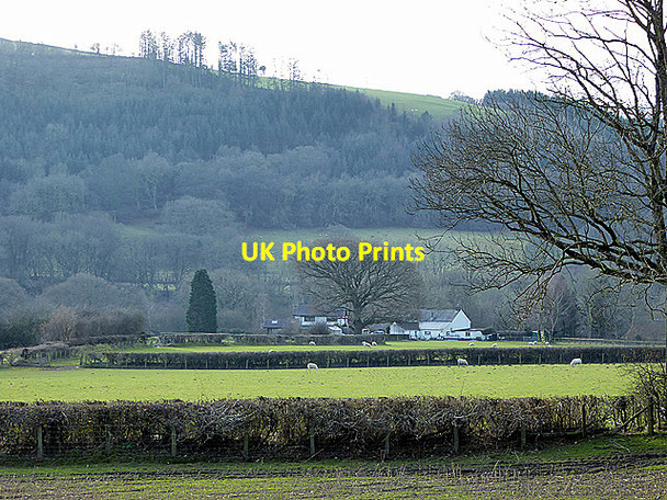Photo 6"x4" A view towards Glanrhyd-ty-noeth Nantyronen Station c2018