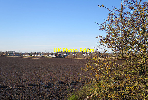 Photo 6"x4" Field near Ormiston Ormiston\/NT4169 c2018