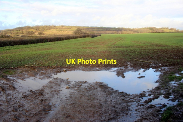 Photo 6"x4" Macmillan Way Kingsdon\/ST5126 c2018