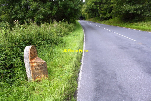 Photo 6"x4" B6480 at Buck Haw Brow Settle c2017