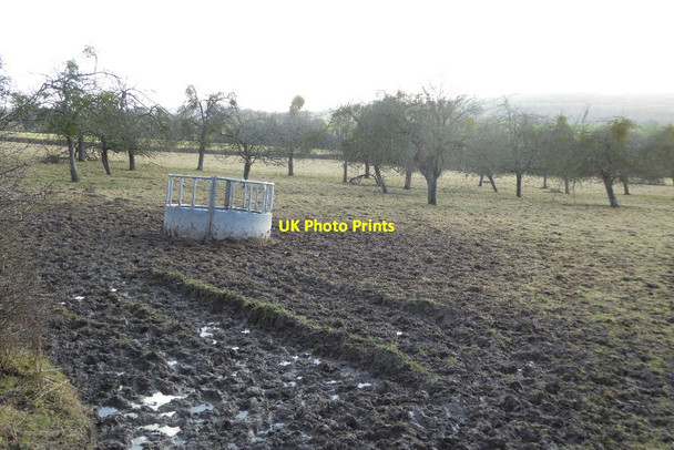 Photo 6"x4" Muddy orchard at Checkley Checkley\/SO5938 c2018