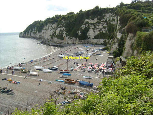 Photo 6"x4" Beer Beach Seaton\/SY2490 c2012
