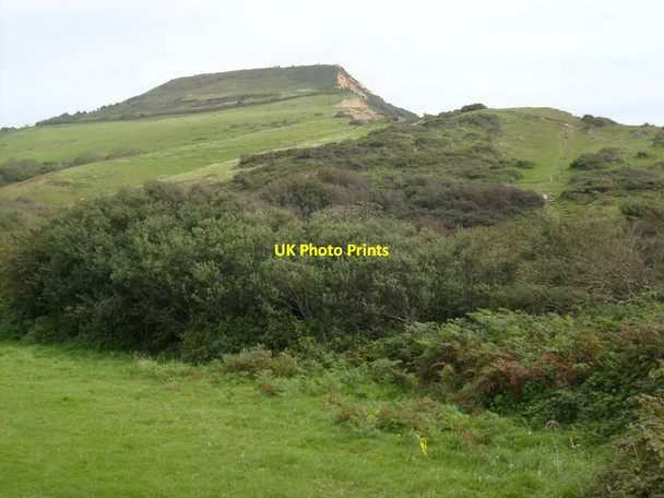 Photo 6"x4" St Gabriel's Mouth Morcombelake c2012