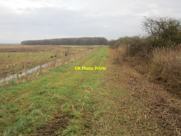 Photo 6"x4" Former towpath, Leven Canal Aike c2018