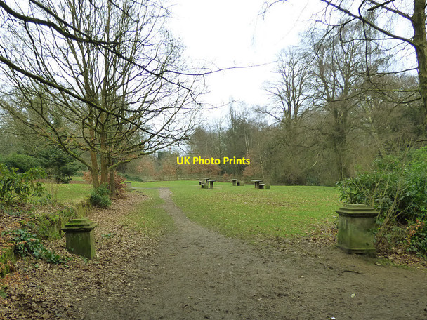 Photo 6"x4" Picnic area on the St Ives Estate Bingley\/SE1139 c2018