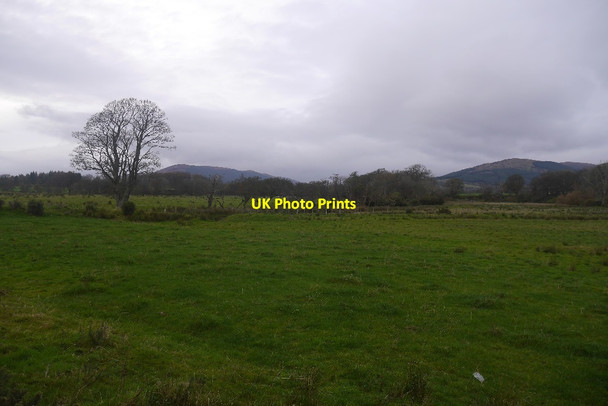 Photo 6"x4" Fields, Ardyne Port Bannatyne c2017