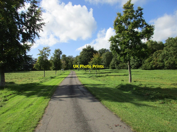 Photo 6"x4" Driveway from Lewcombe Manor Lewcombe c2017