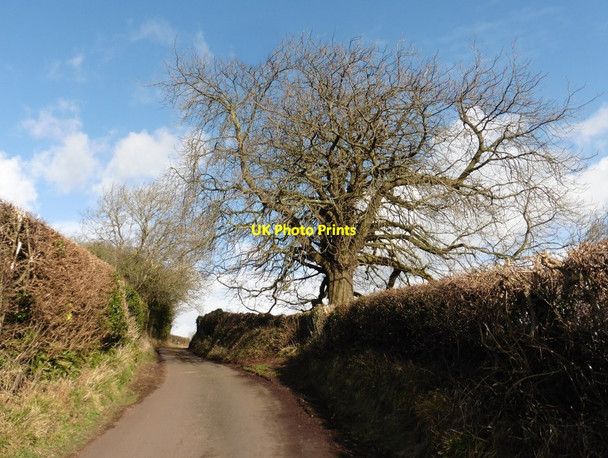 Photo 6"x4" Wint Hill Banwell c2018