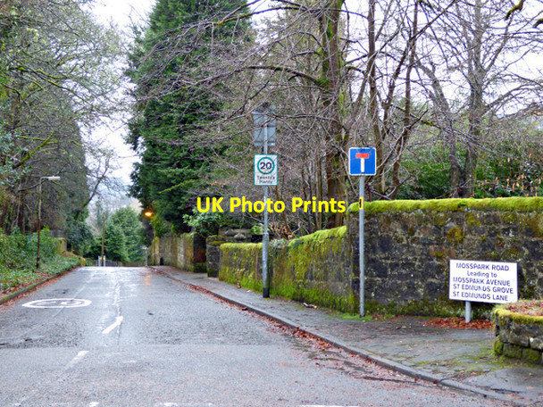 Photo 6"x4" Mosspark Road Milngavie c2018 P1