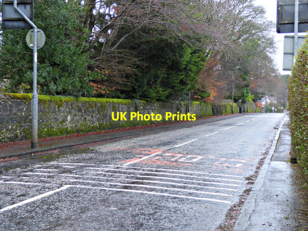Photo 6"x4" Mugdock Road Milngavie c2018