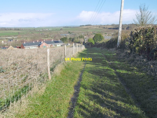 Photo 6"x4" Puddletown, footpath Northbrook\/SY7594 c2018