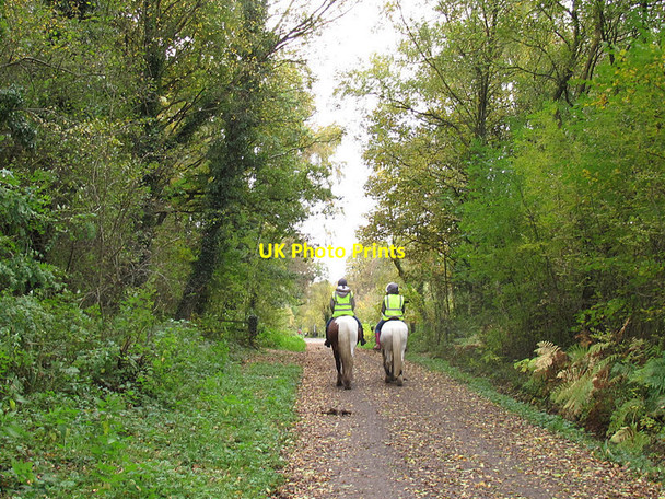 Photo 6"x4" Horse riders on the Middlewood Way Hazel Grove\/SJ9286 c2016