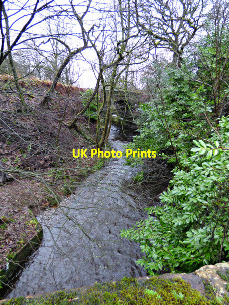 Photo 6"x4" Allander Water Milngavie c2018 P1