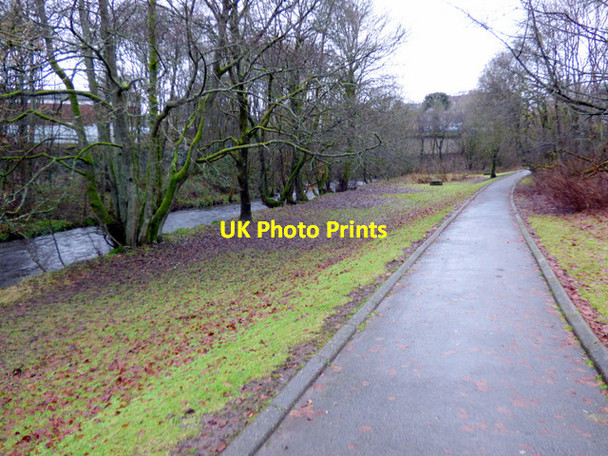 Photo 6"x4" Lennox Park Milngavie c2018