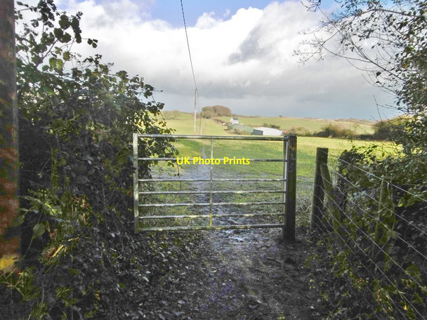 Photo 6"x4" Puddletown, gate Northbrook\/SY7594 c2018