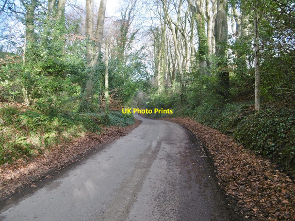 Photo 6"x4" Puddletown, Coombe Road Northbrook\/SY7594 c2018