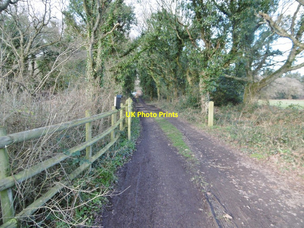 Photo 6"x4" Lower Bockhampton, access road Higher Bockhampton c2018