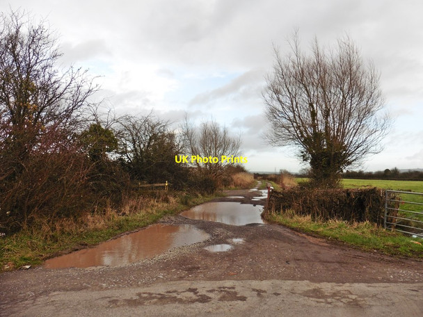 Photo 6"x4" Puxton Moor Lane East Rolstone c2018