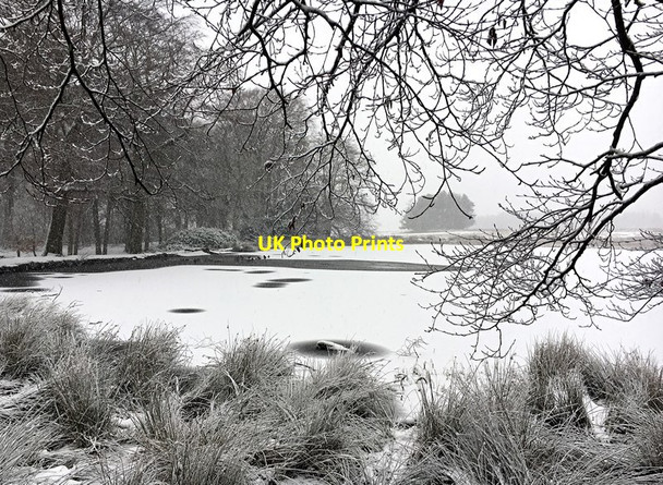 Photo 6"x4" Frozen lake at Longshaw Nether Padley c2018