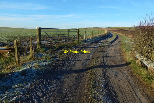 Photo 6"x4" Farm track Ardoch\/NS3676 c2018