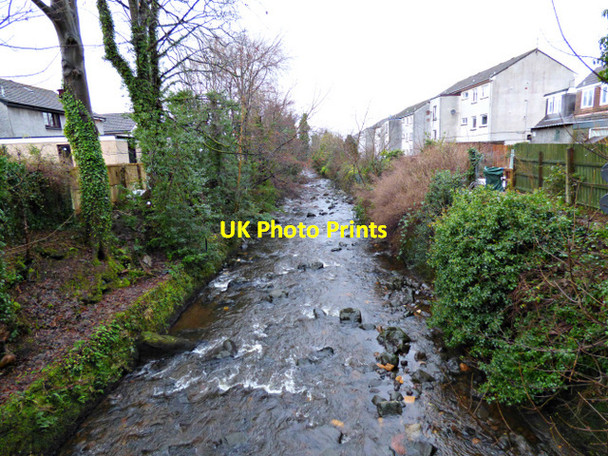 Photo 6"x4" Gogo Water Largs\/NS2059 c2017 P1