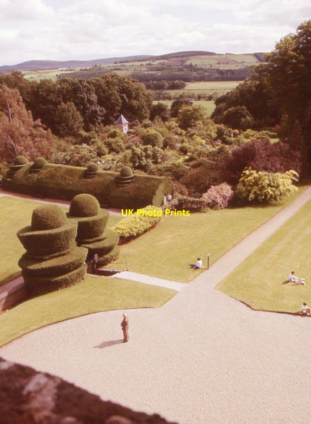 Photo 6"x4" Walled garden and topiary, Crathes Castle Neu c1979