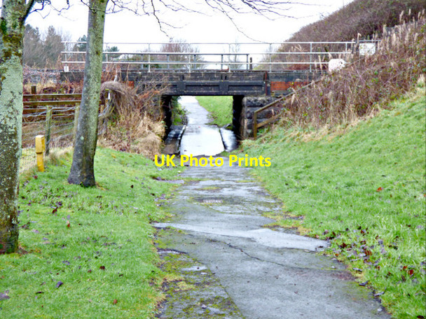 Photo 6"x4" Footpath to Largs Yacht Haven Largs\/NS2059 c2017