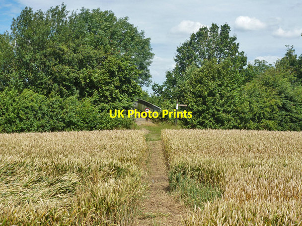 Photo 6"x4" Footpath towards Galleywood Galleywood c2012