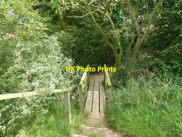 Photo 6"x4" Footbridge on path towards Great Baddow Galleywood c2012