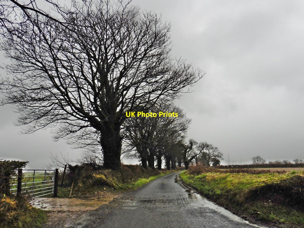 Photo 6"x4" Lane running north east from Winsham Chalkway c2018